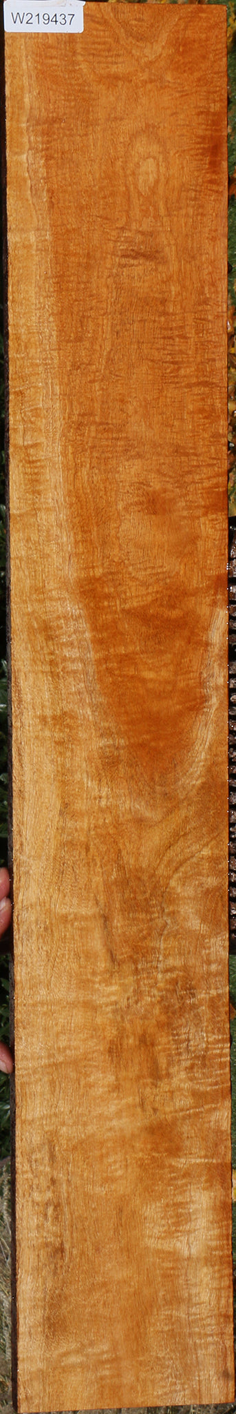 Extra Fancy Fiddleback Honduras Mahogany Lumber
