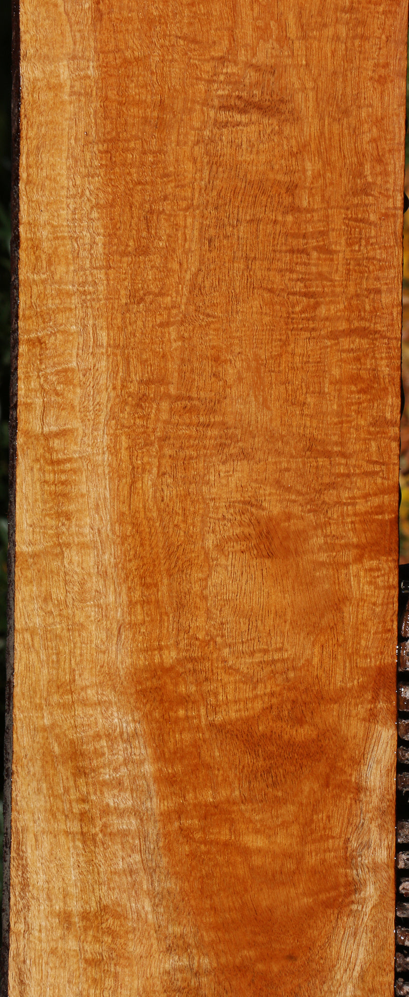 Extra Fancy Fiddleback Honduras Mahogany Lumber