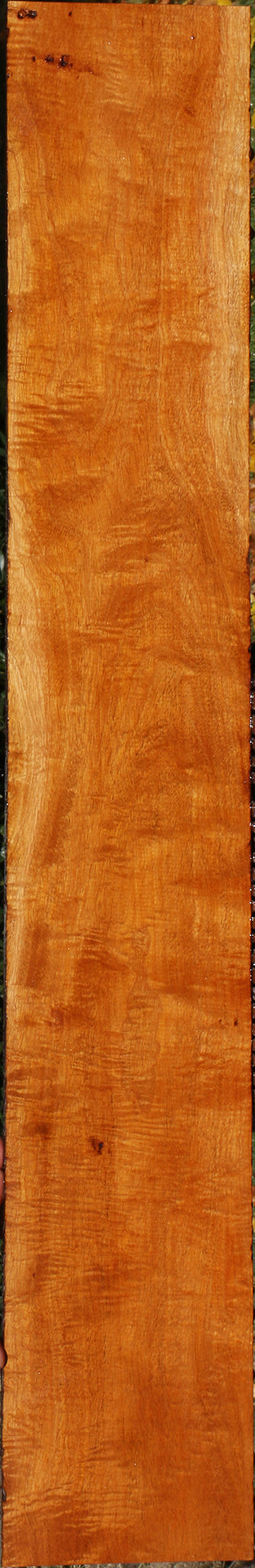 Extra Fancy Fiddleback Honduras Mahogany Lumber