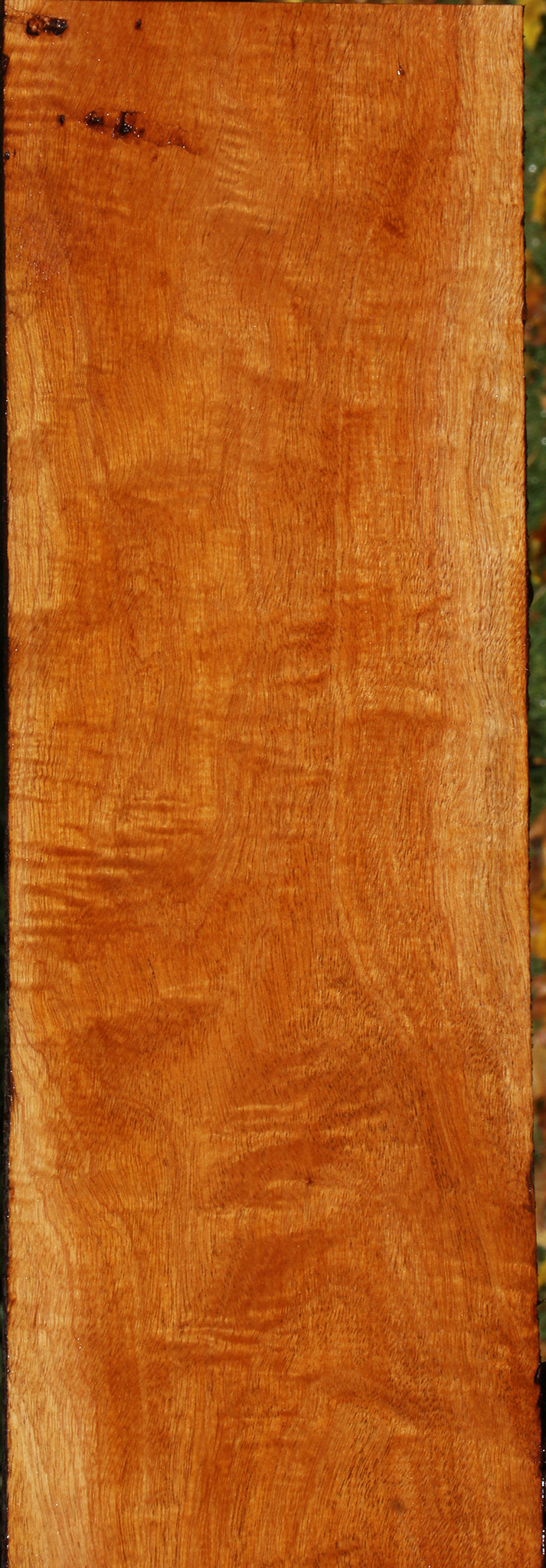 Extra Fancy Fiddleback Honduras Mahogany Lumber