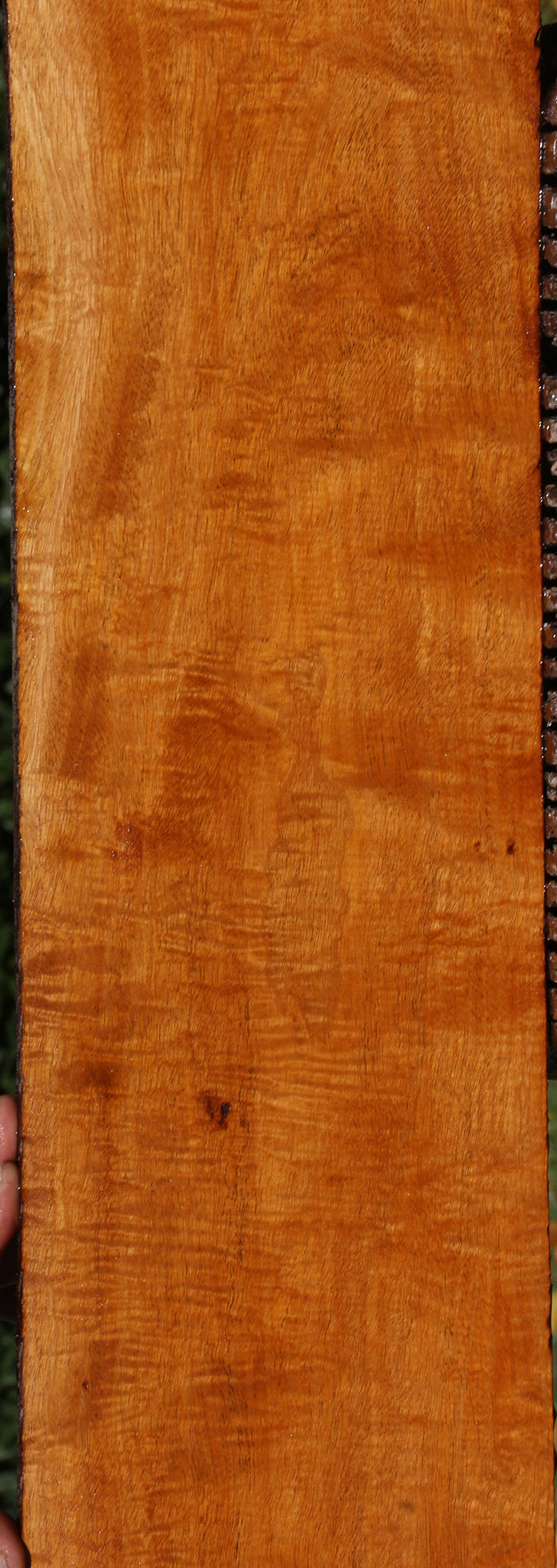 Extra Fancy Fiddleback Honduras Mahogany Lumber