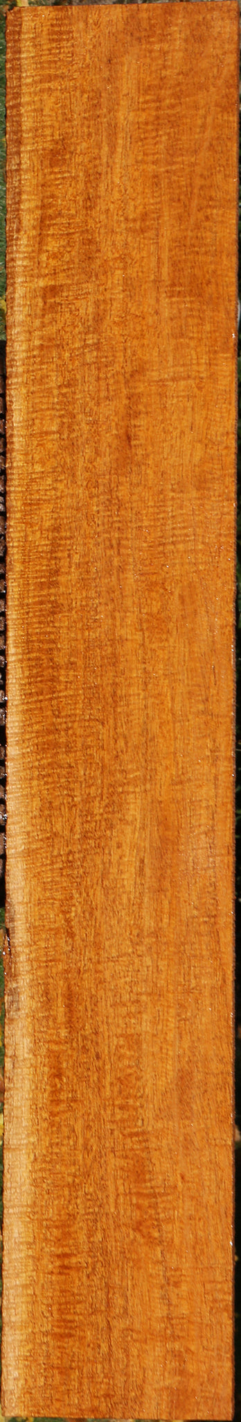 Exhibition Fiddleback Honduras Mahogany Lumber