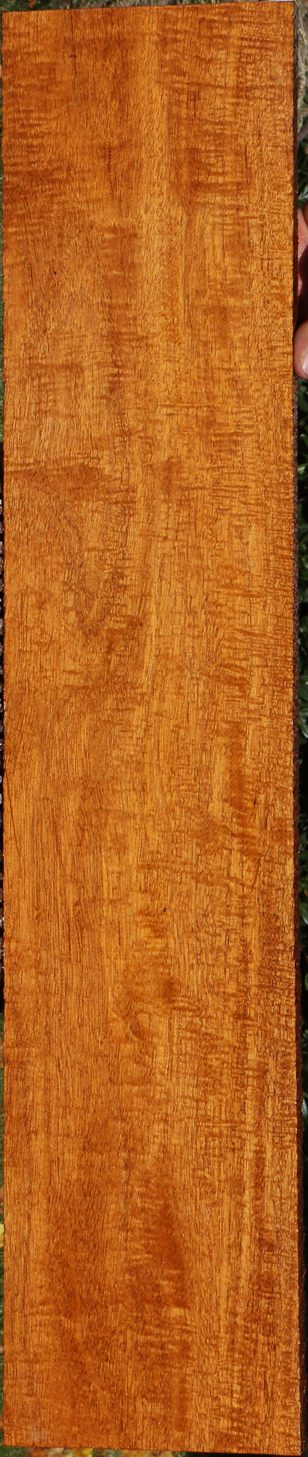 Extra Fancy Fiddleback Honduras Mahogany Lumber