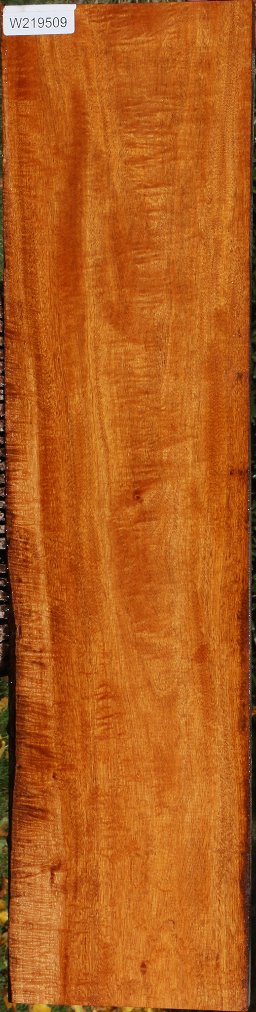 Extra Fancy Honduras Mahogany Lumber