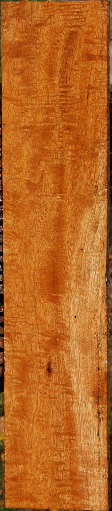 Extra Fancy Fiddleback Honduras Mahogany Lumber