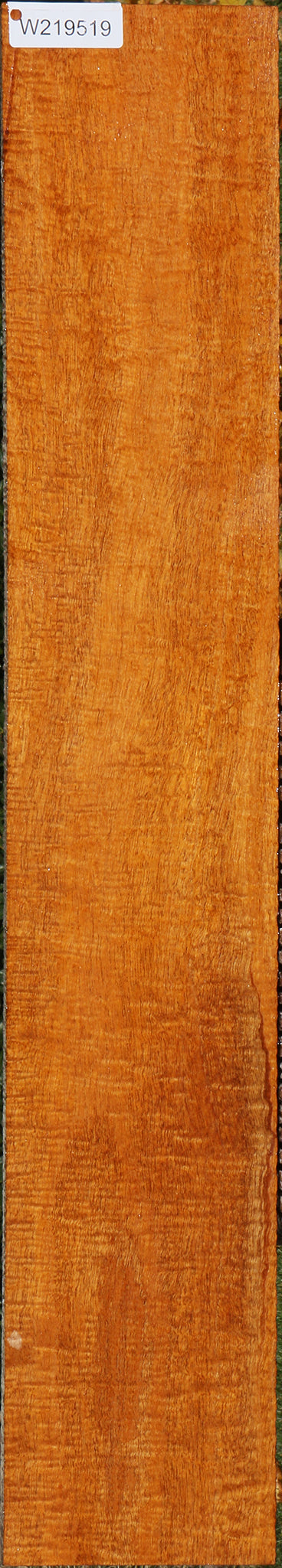 Exhibition Fiddleback Honduras Mahogany Lumber