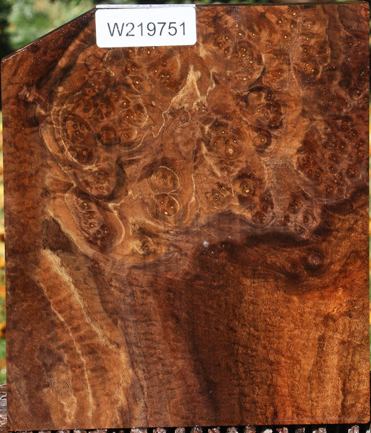 Claro Walnut Burl Lumber