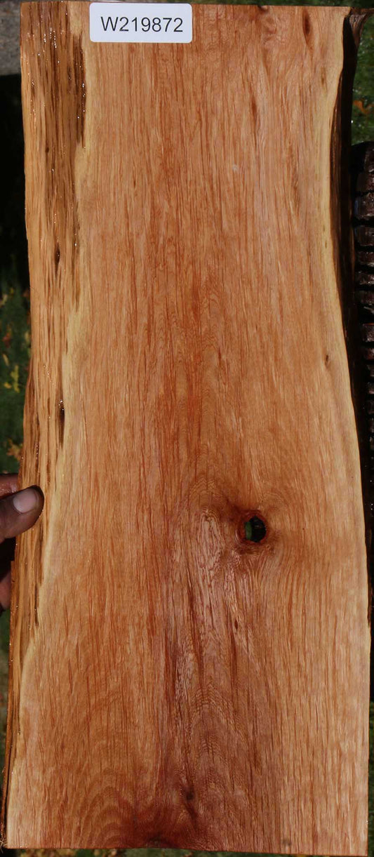 Beefwood Live Edge Lumber