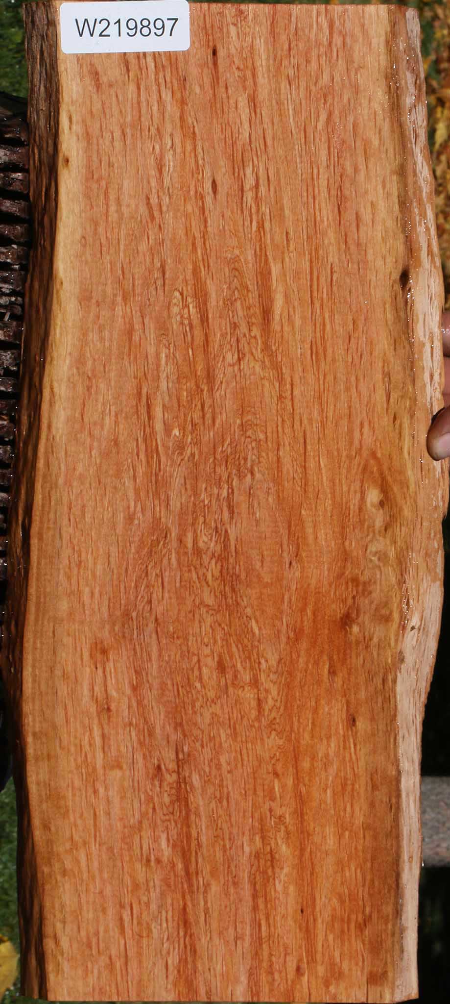 Beefwood Live Edge Lumber