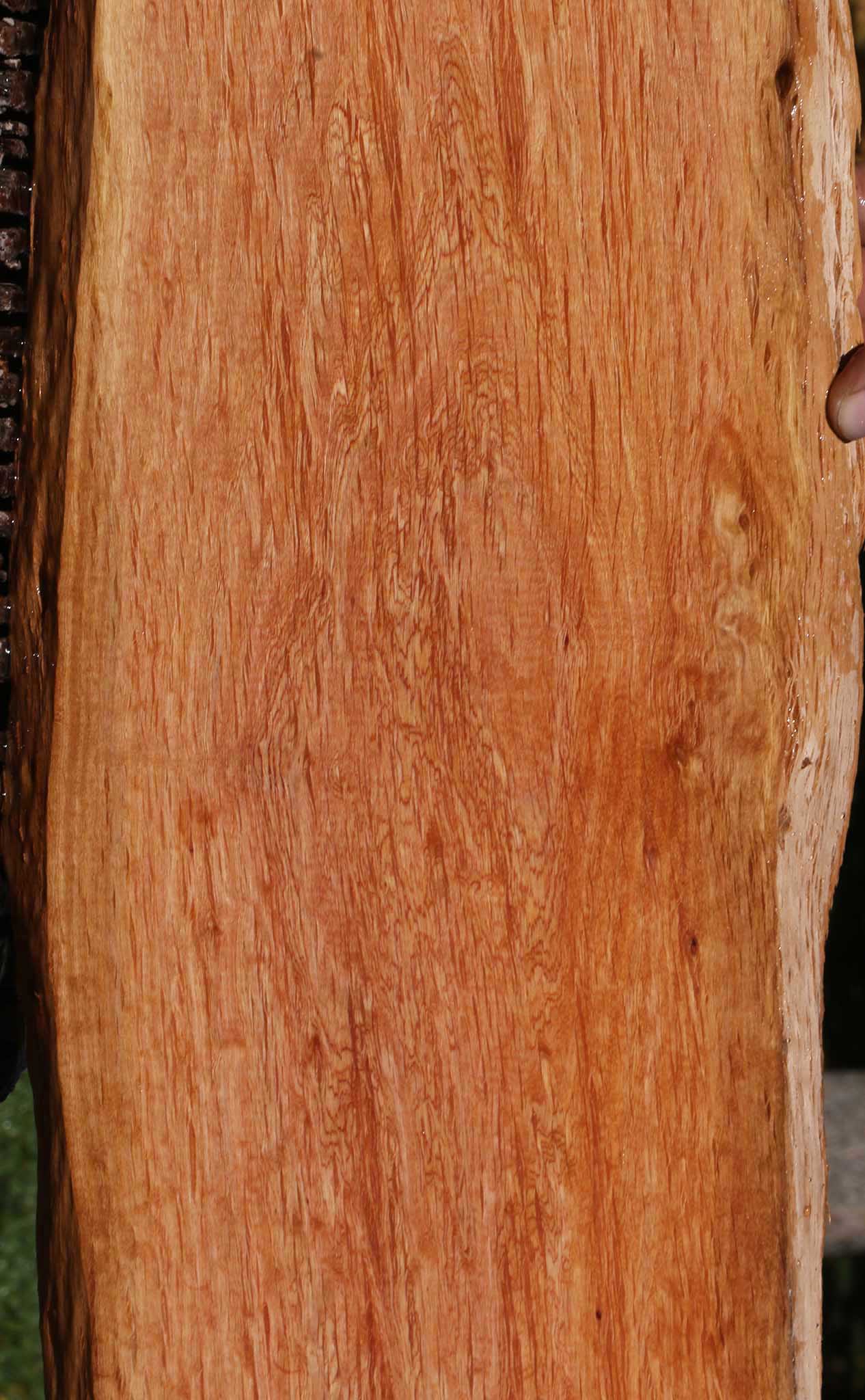 Beefwood Live Edge Lumber