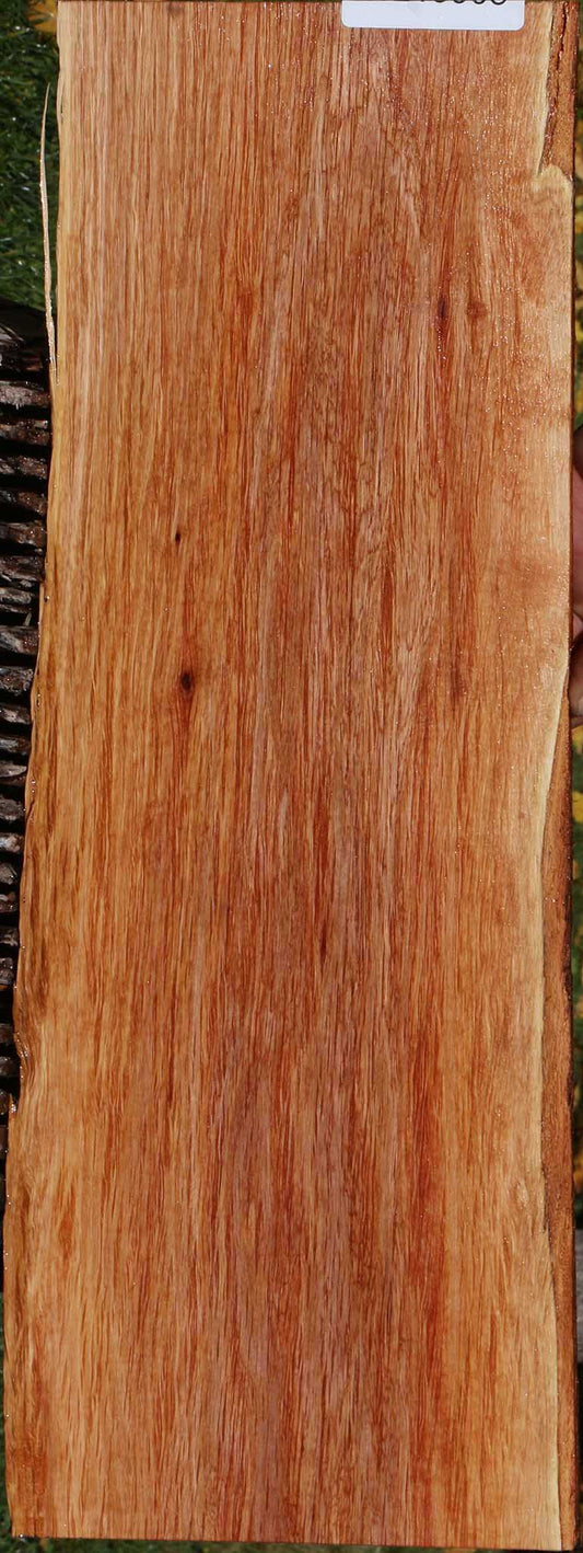 Beefwood Live Edge Micro Lumber