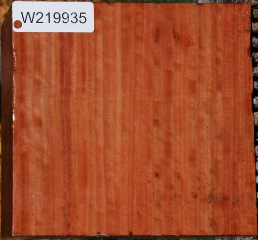 Extra Fancy Red Ironbark Bowl Blank