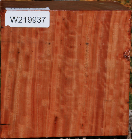 Extra Fancy Red Ironbark Bowl Blank