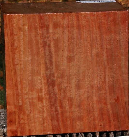 Extra Fancy Red Ironbark Bowl Blank