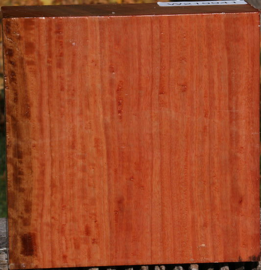 Extra Fancy Red Ironbark Bowl Blank