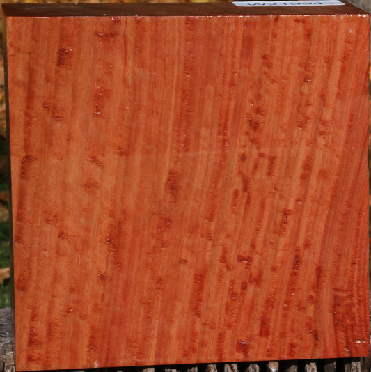 Extra Fancy Red Ironbark Bowl Blank