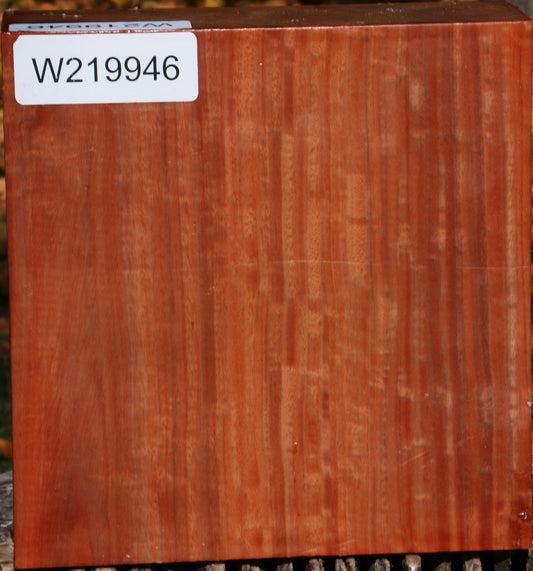 Extra Fancy Red Ironbark Bowl Blank