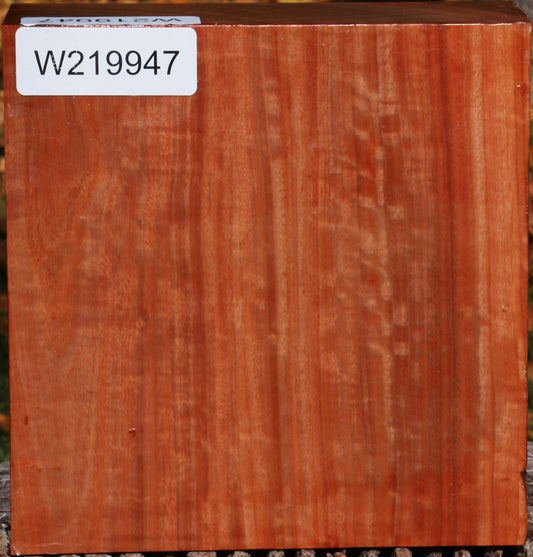 Extra Fancy Red Ironbark Bowl Blank