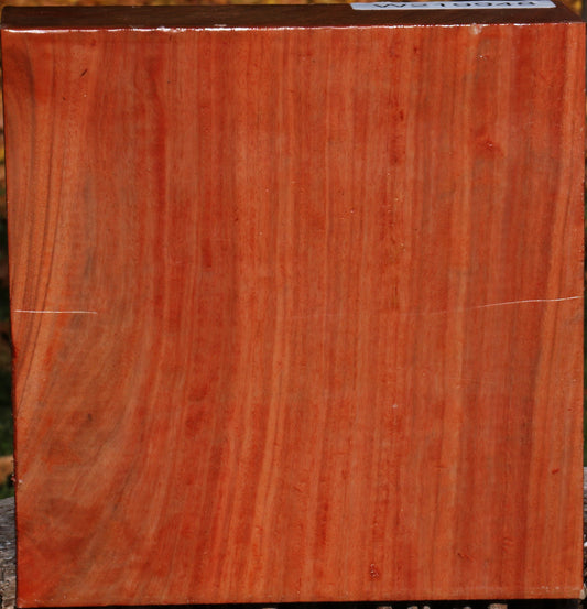 Extra Fancy Red Ironbark Bowl Blank