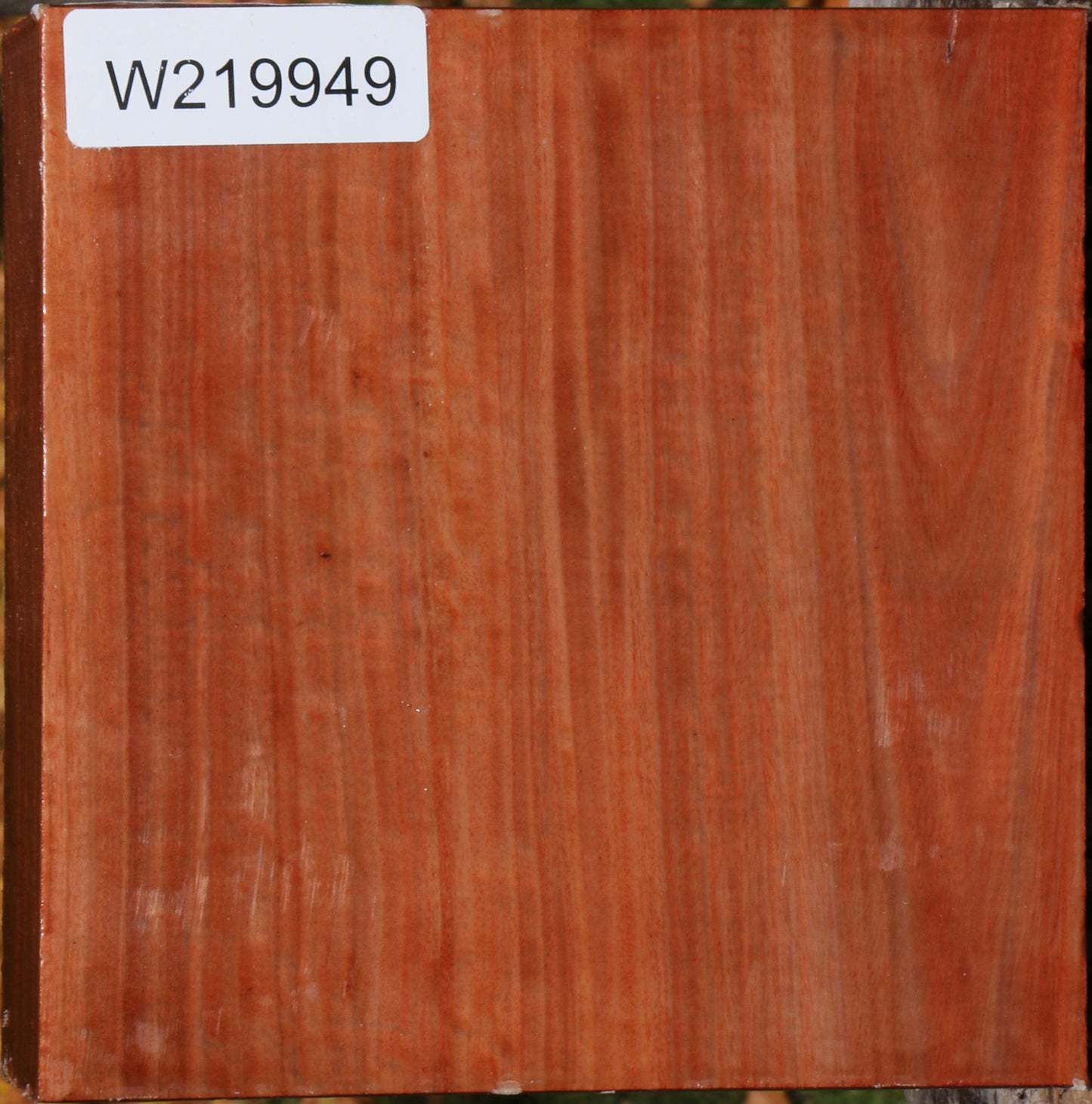 Extra Fancy Red Ironbark Bowl Blank