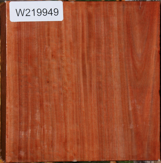 Extra Fancy Red Ironbark Bowl Blank