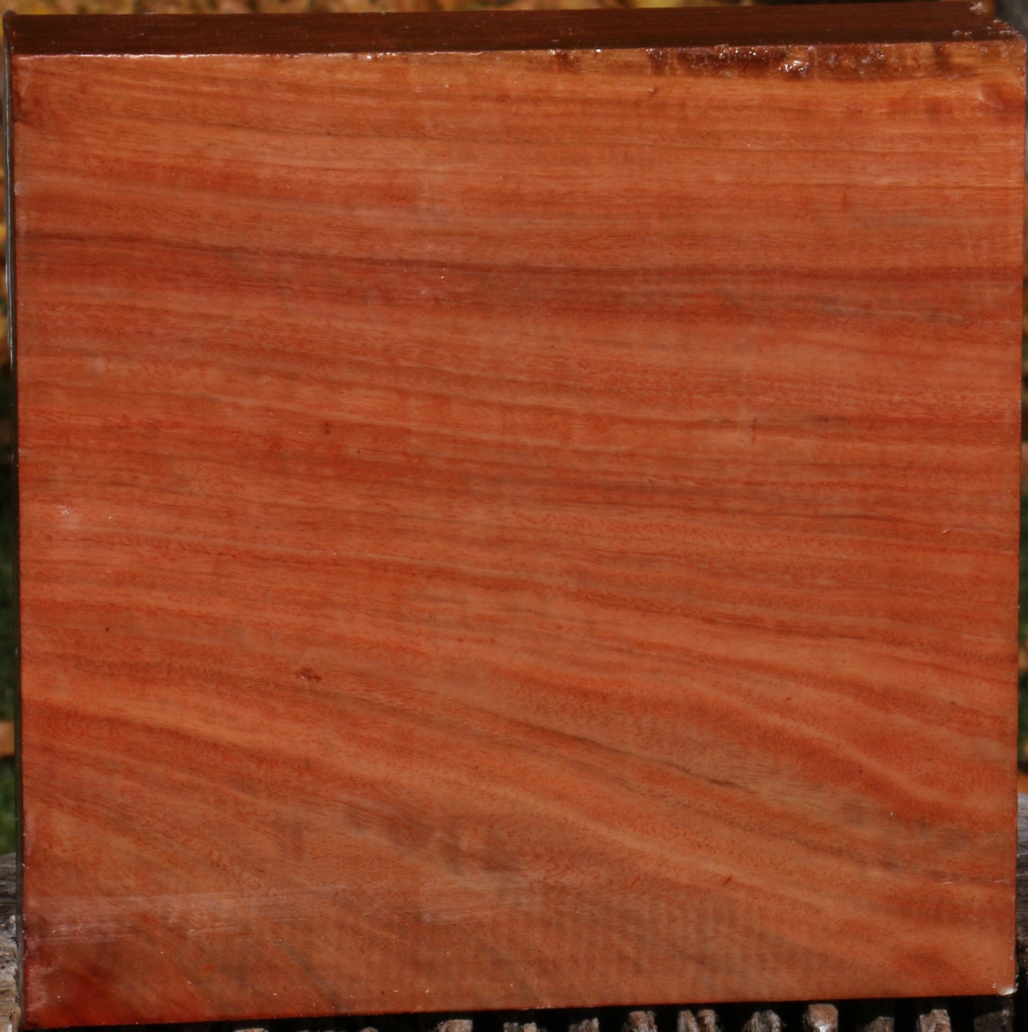 Extra Fancy Red Ironbark Bowl Blank