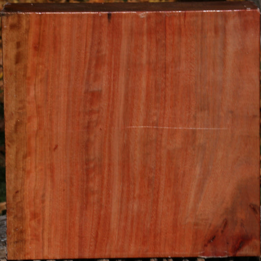 Extra Fancy Red Ironbark Bowl Blank