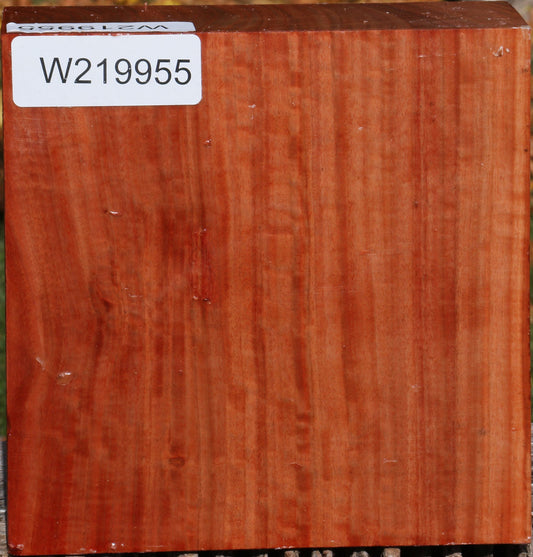 Extra Fancy Red Ironbark Bowl Blank