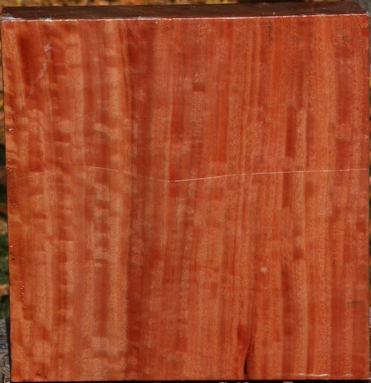 Extra Fancy Red Ironbark Bowl Blank