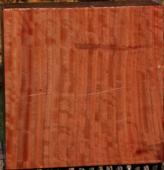 Extra Fancy Red Ironbark Bowl Blank