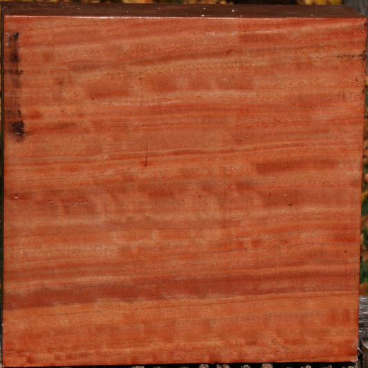 Extra Fancy Red Ironbark Bowl Blank