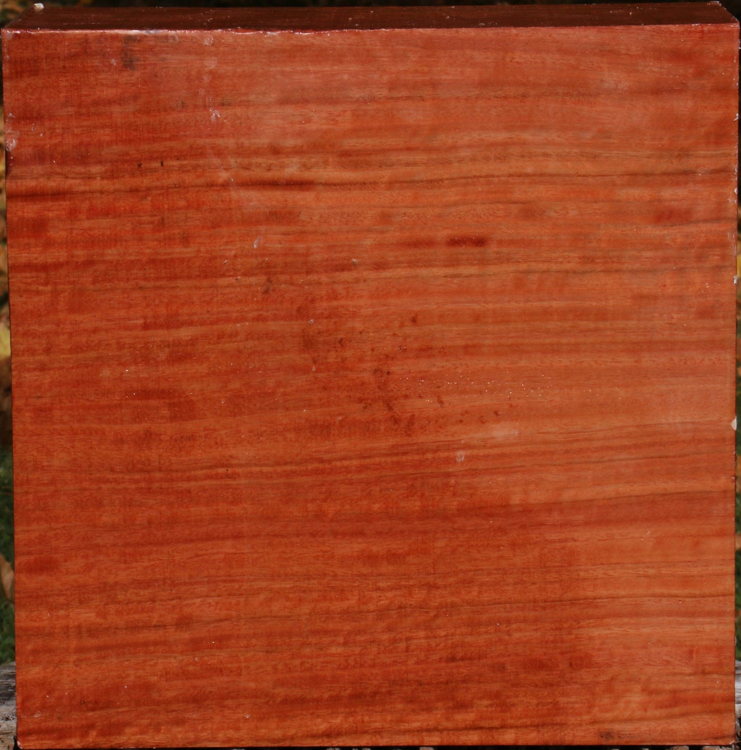 Extra Fancy Red Ironbark Bowl Blank