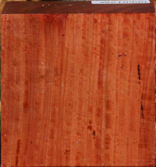 Extra Fancy Red Ironbark Bowl Blank