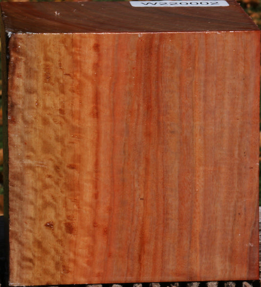 Extra Fancy Red Ironbark Bowl Blank