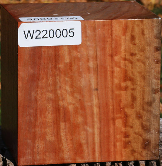 Extra Fancy Red Ironbark Bowl Blank