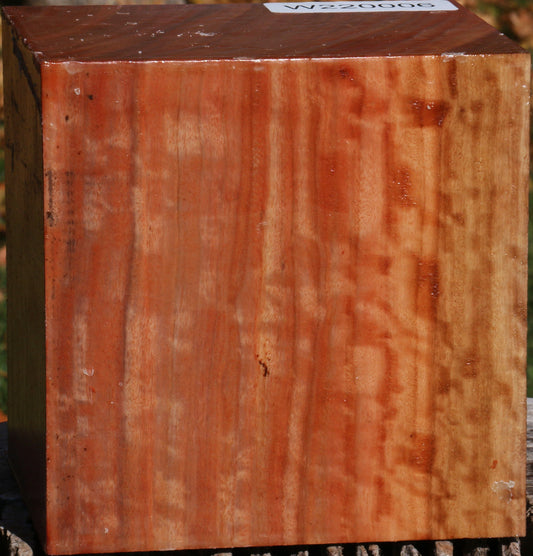 Extra Fancy Red Ironbark Bowl Blank