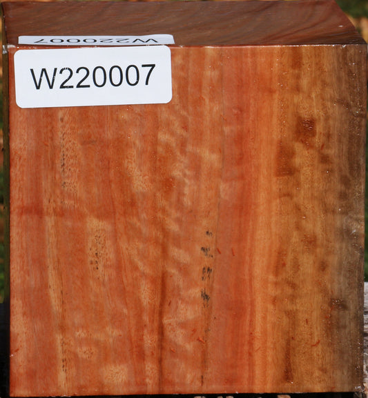 Extra Fancy Red Ironbark Bowl Blank