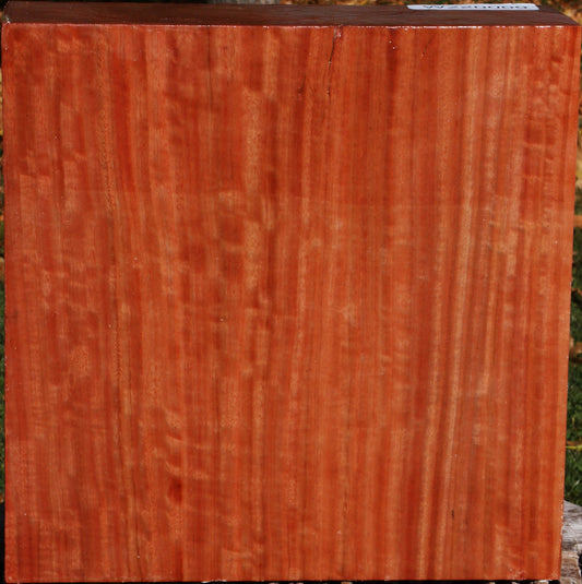 Extra Fancy Red Ironbark Bowl Blank