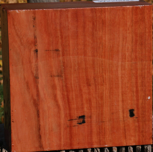 Extra Fancy Red Ironbark Bowl Blank