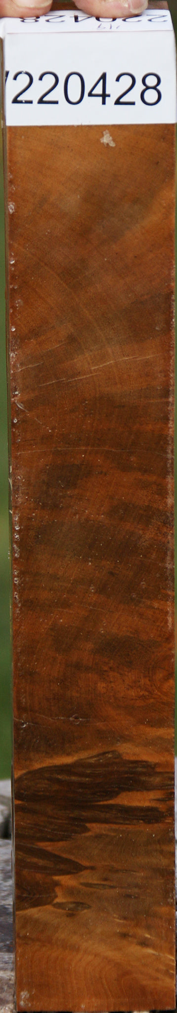 Hopea Stone Burl Turning Blank