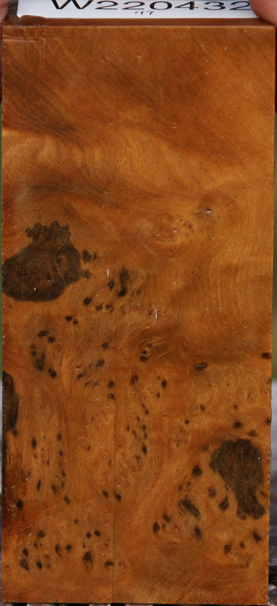 Hopea Stone Burl Lumber