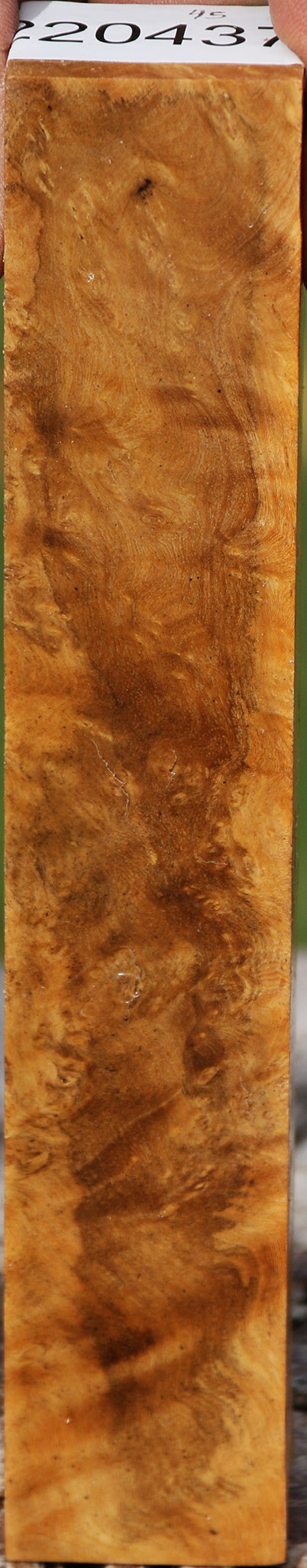 Hopea Stone Burl Turning Blank