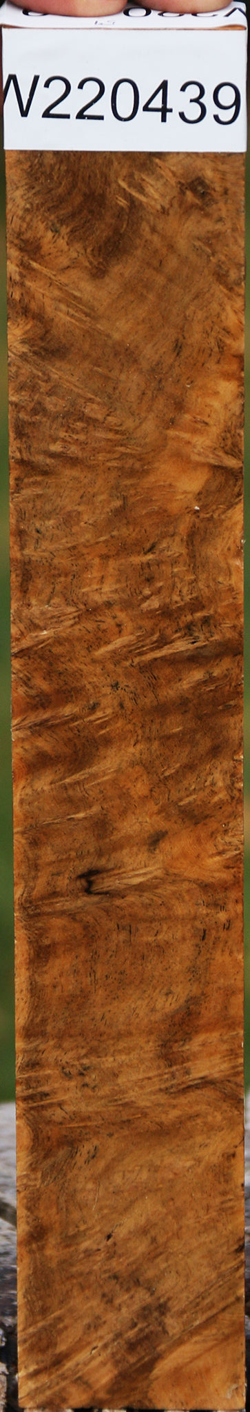 Hopea Stone Burl Lumber