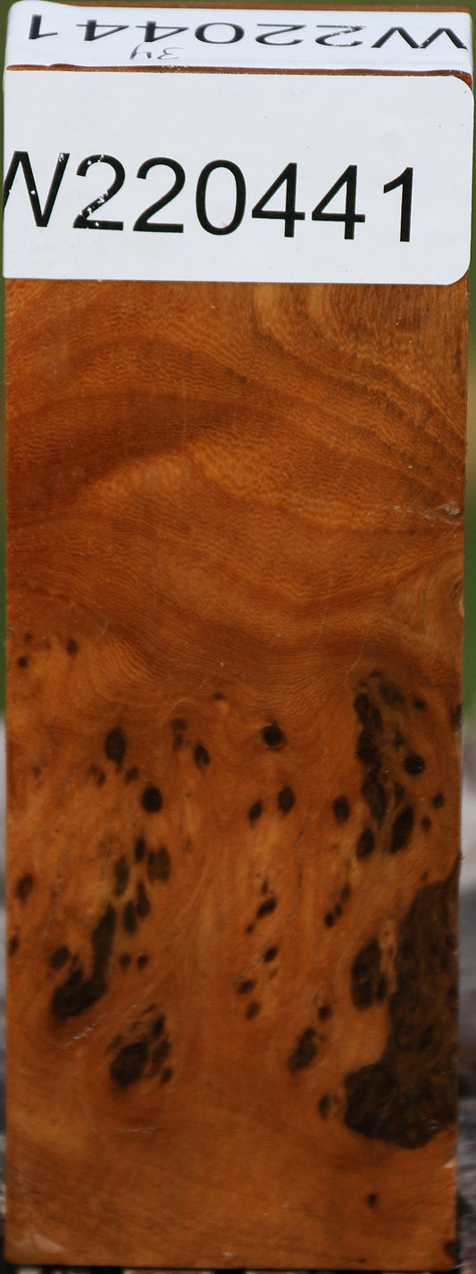 Hopea Stone Burl Turning Blank
