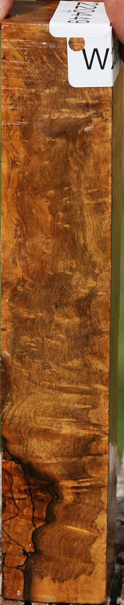 Hopea Stone Burl Turning Square