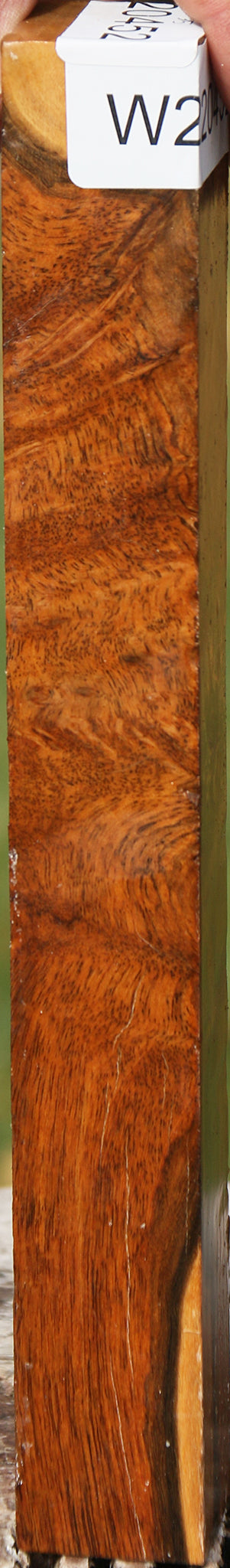 Hopea Stone Burl Turning Square