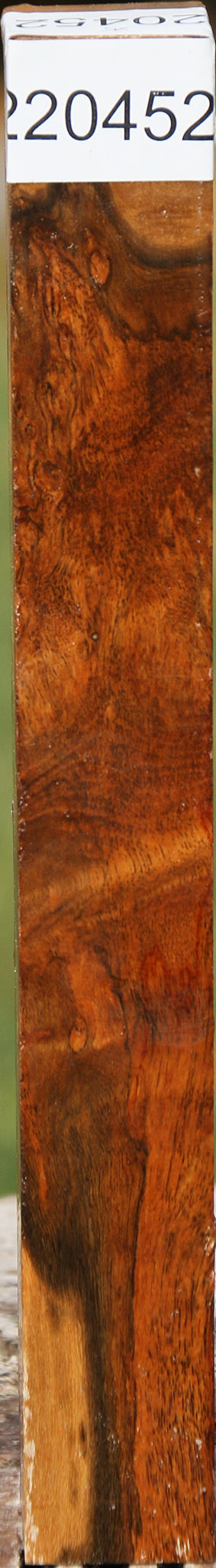 Hopea Stone Burl Turning Square