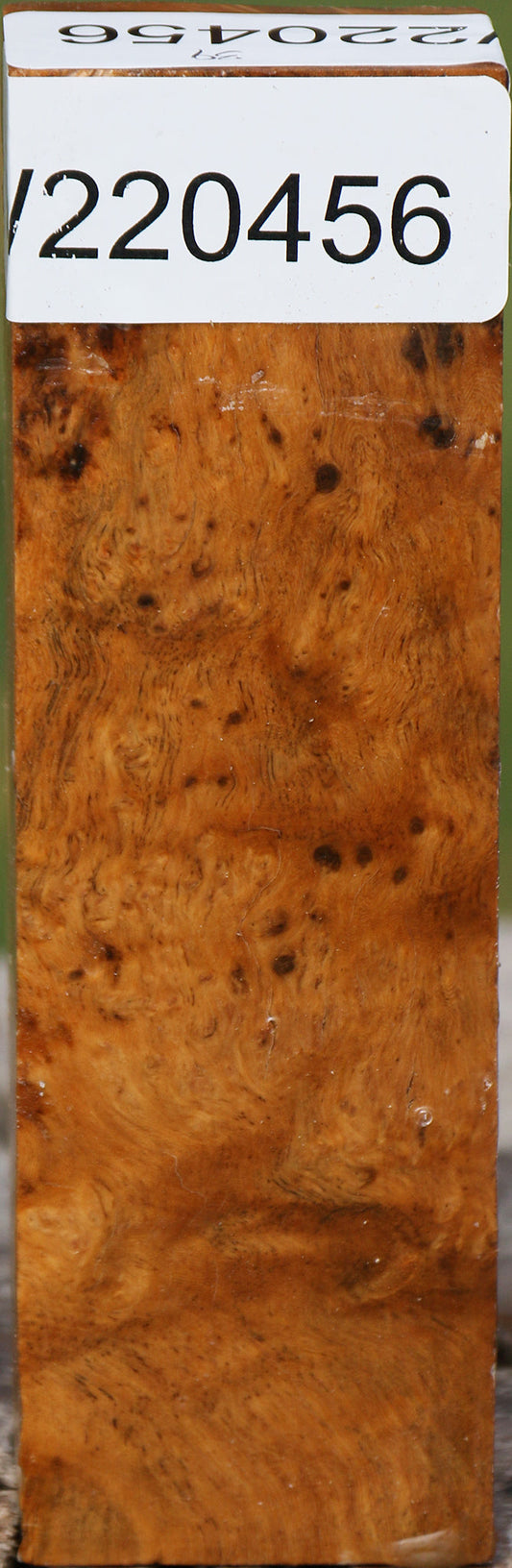 Hopea Stone Burl Turning Blank