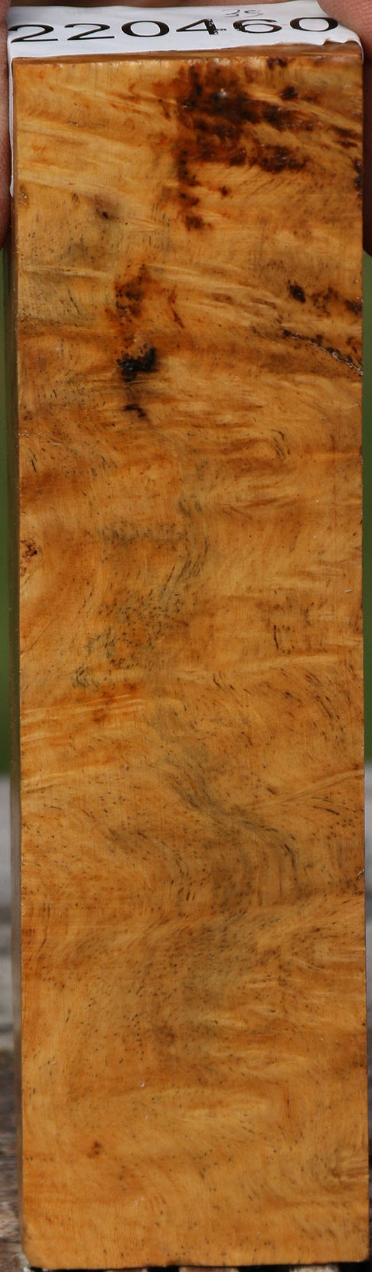Hopea Stone Burl Turning Blank