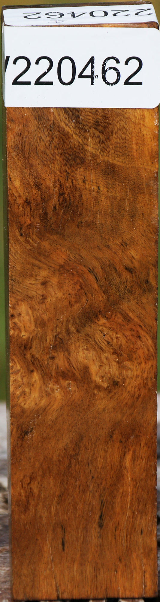 Hopea Stone Burl Turning Blank